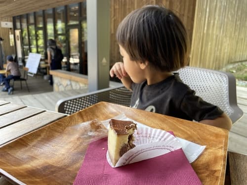 ファームデザインズのチーズケーキを食べる息子